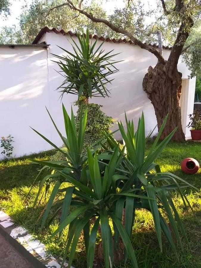 Ferienwohnung Valia House Thassos Skála Kallirákhis Exterior foto