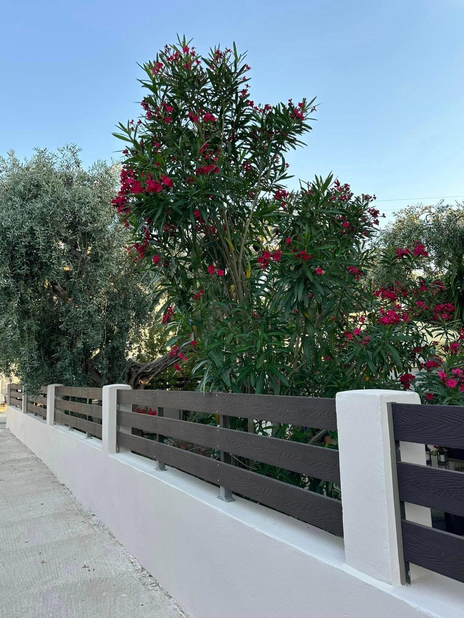 Ferienwohnung Valia House Thassos Skála Kallirákhis Exterior foto