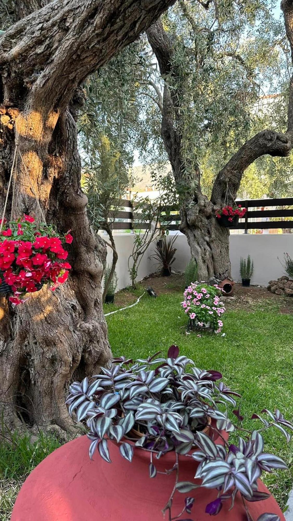 Ferienwohnung Valia House Thassos Skála Kallirákhis Exterior foto